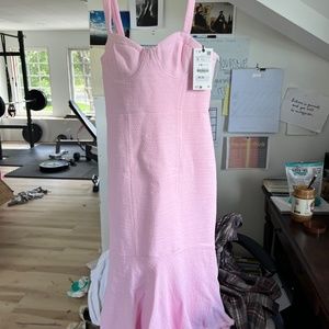 Zara Small Pink Midi Dress